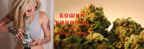 бошки Гусь-Хрустальный