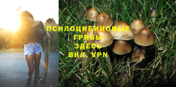 бошки Гусь-Хрустальный