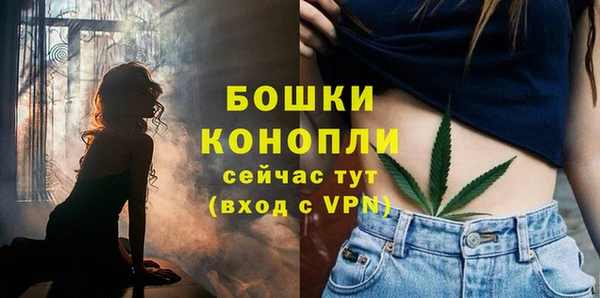 бошки Гусь-Хрустальный