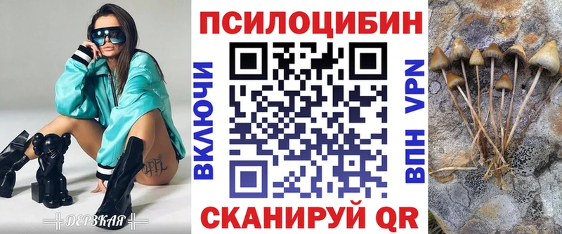 blacksprut tor  Касимов  Псилоцибиновые грибы Magic Shrooms 