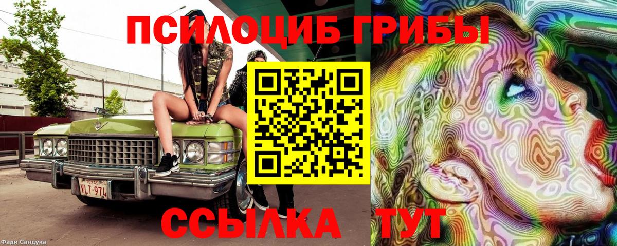 Псилоцибиновые грибы MAGIC MUSHROOMS Касимов